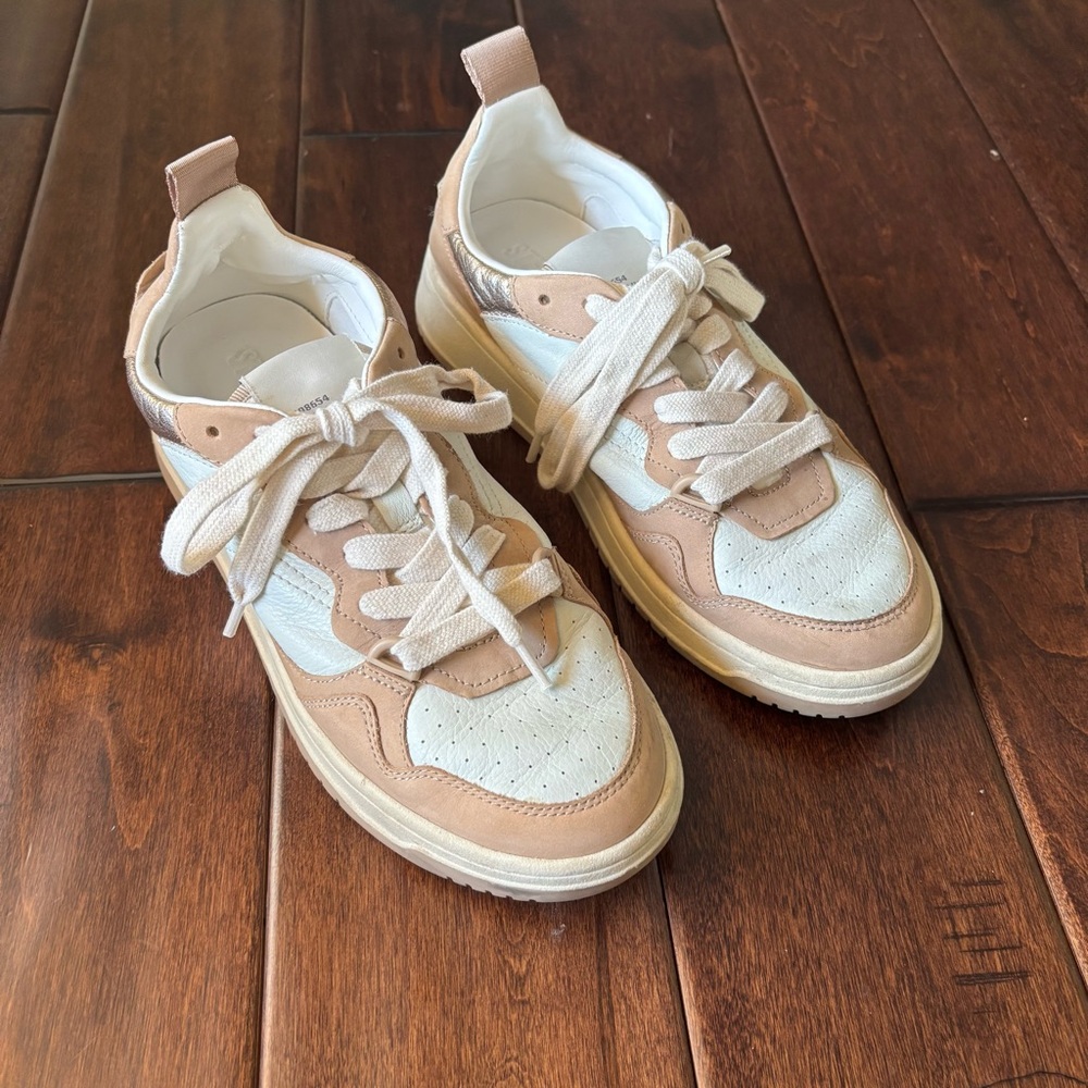 Steve Madden Everlie Sneaker